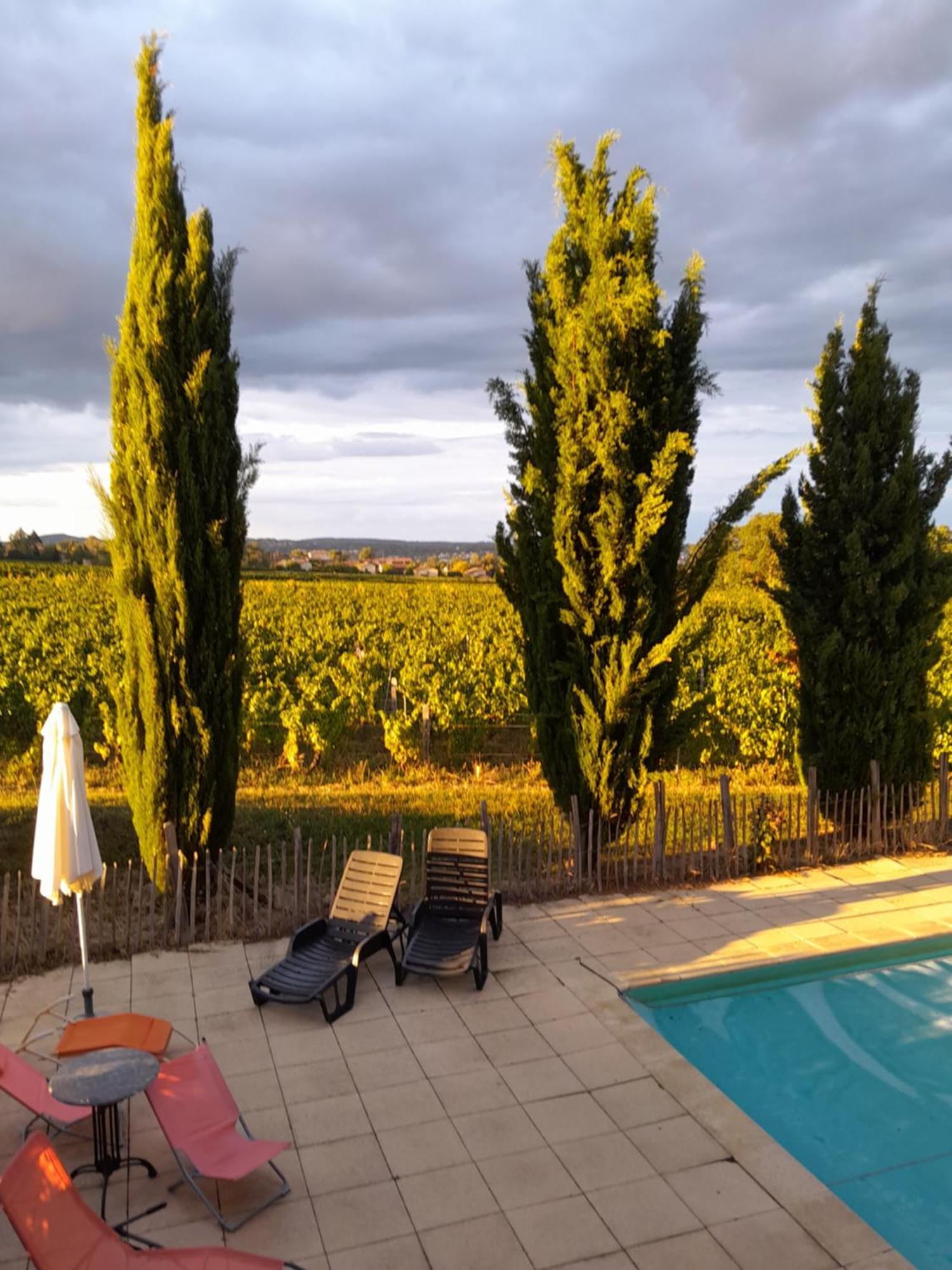 La Cote Des Blancs - Domaine Viticole & Maison D'Hotes Vinzelles Exterior photo